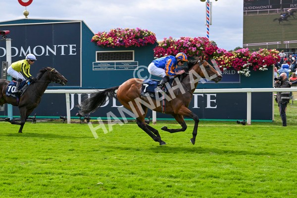 210824-Race 2-The Lion In Winter-4761 - Race 2 2.25pm Tattersalls Acomb Stakes