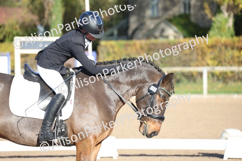 20251102-0304 - Class 2 - Prelim 6