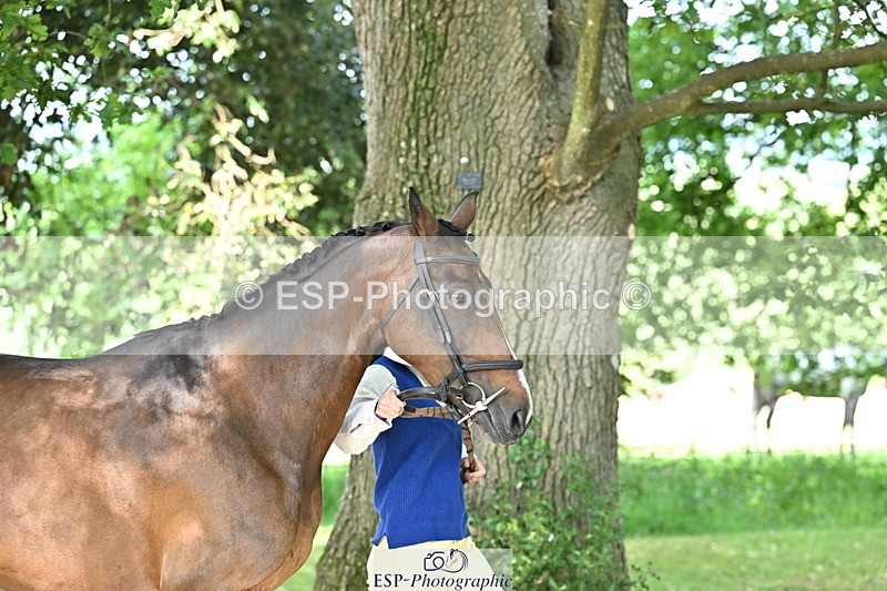250521A-165730-01431 - C-274-Bizzy.Loffet-LONGBROOK.CHILLI.FLOWER