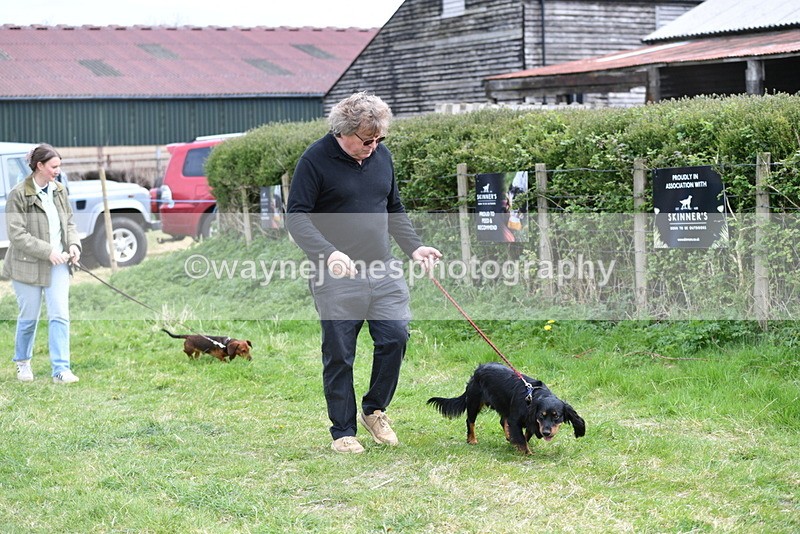 WJ5_9466 - Class 3 Most Handsome Dog