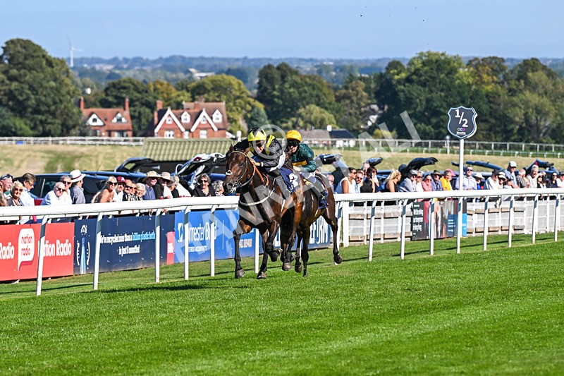220926-Race 2-Bayraktar-3133 - Race 2 2.05pm Old Gravel Pits Lodges EBF Novice Stakes
