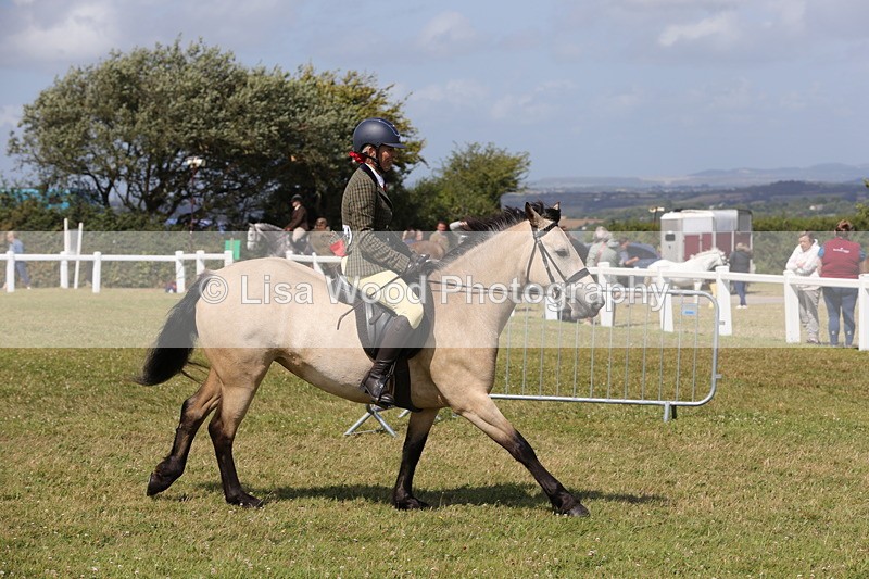 1X9A5538 - Class 38: NPS Novice Ridden Small and Large Breeds