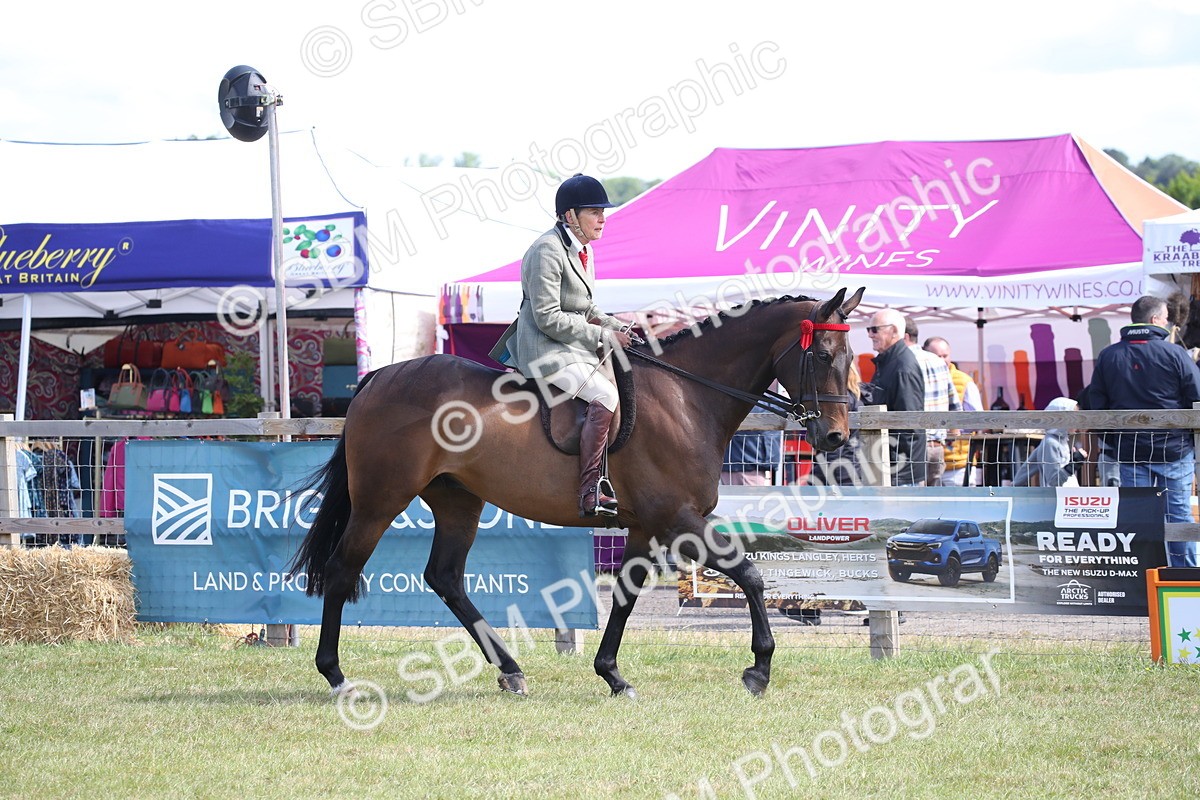SBM_13311 - Class 95-96 - LIHS BSHA Rising Star Hack Riding Horse