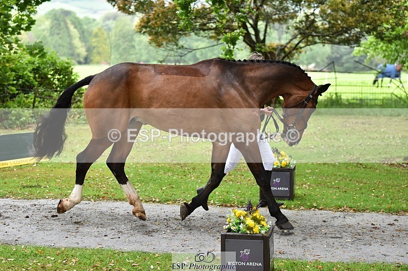 240522-155600-00593 - 105-ALS_RUSSIAN_ROLEX-Jemima_Howden