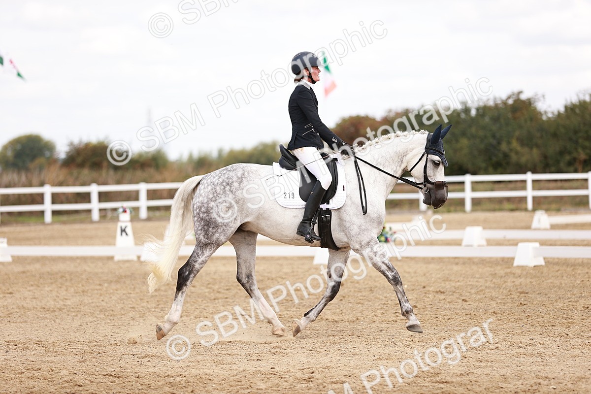 SBM_018003 - Class 15 - Prelim 6