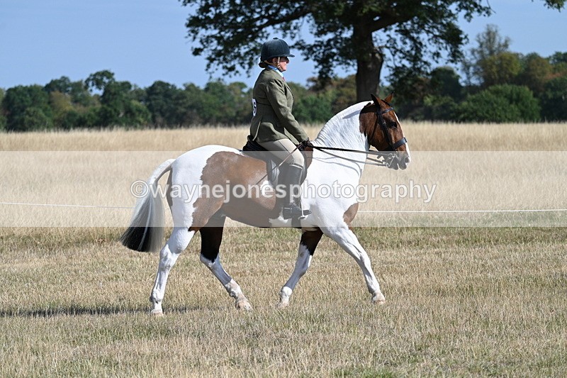WJ7_2808 - Class 8 Ridden Tack & Turnout