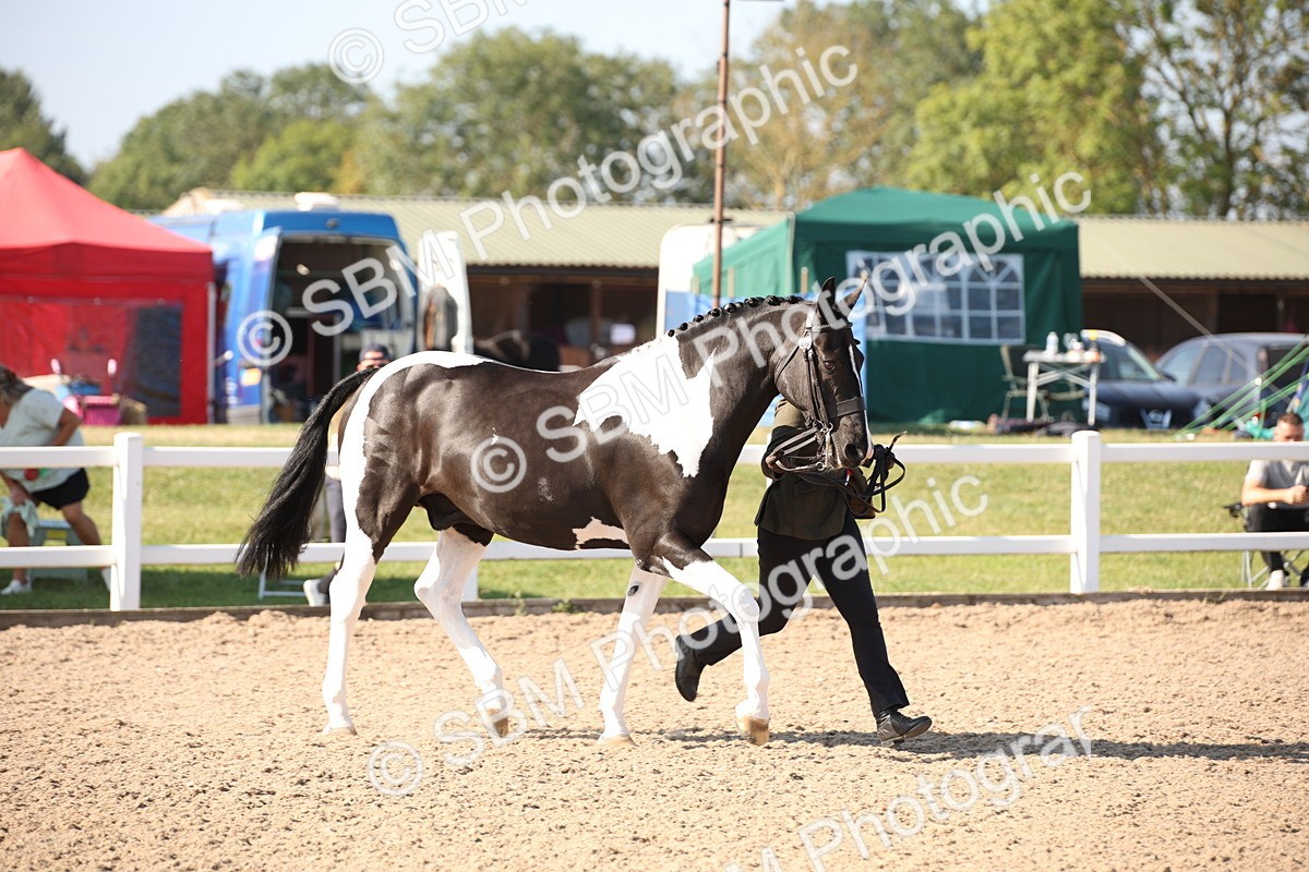 SBM_01462 - Class 15 IH Coloured