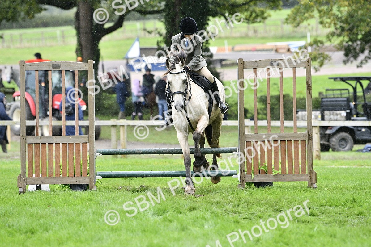 SBM_42293 - S32 - Mountain & Moorland Working Hunter Pony