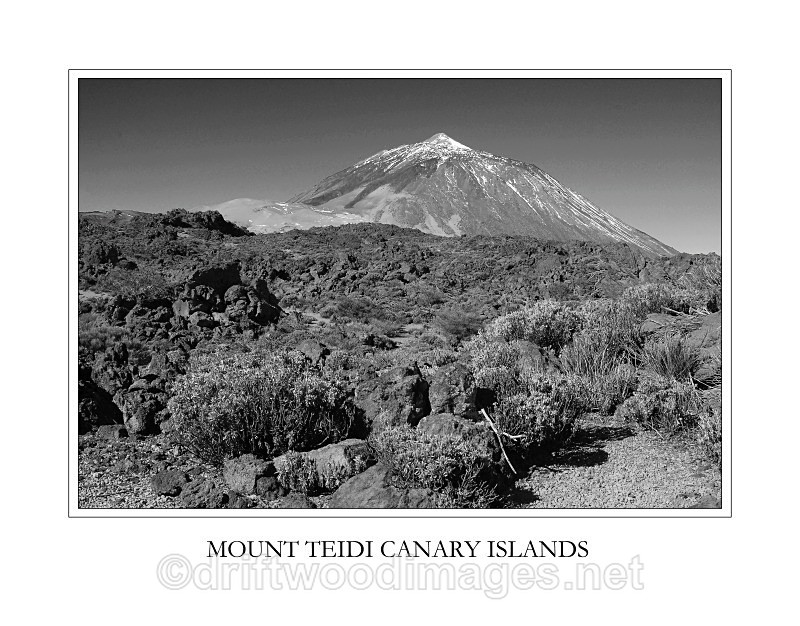 Tenerife Teidi and vegetation - Tenerife Mount Teidi