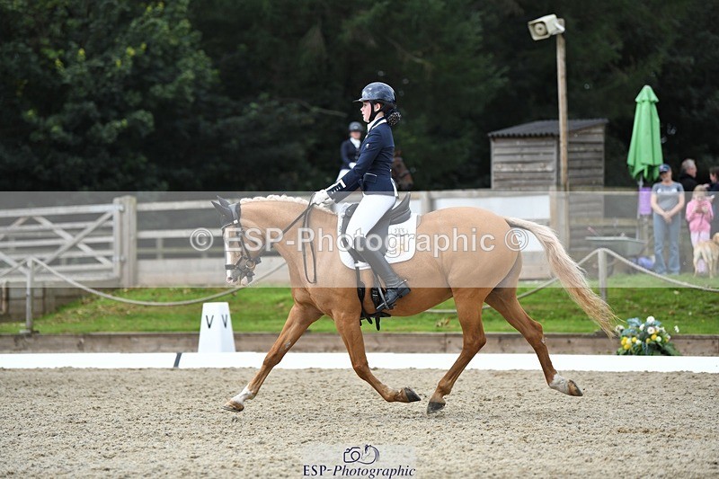 230812-123848-04177 - Cls 6 Novice Silver 12.10 to End