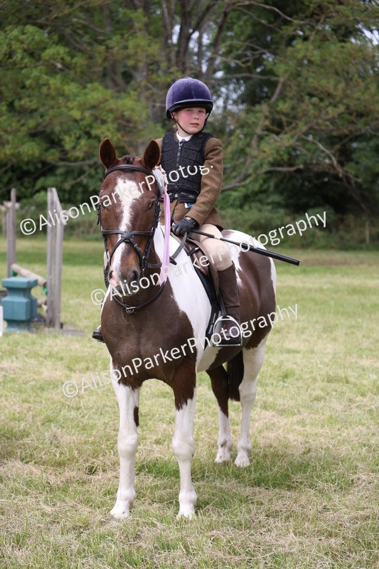 20260614-3189 - Class 22 - Open Working Hunter