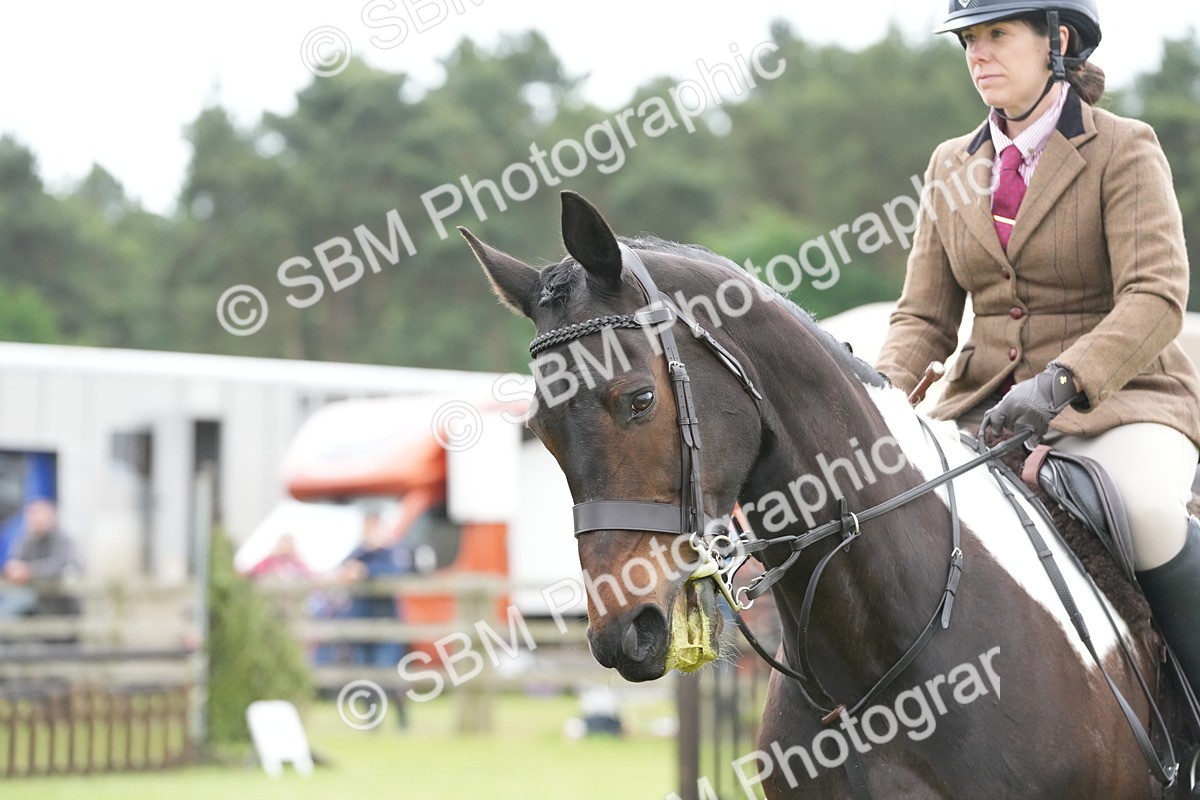 SBM_12551 - Class 97-98 - LIHS BSHA Rising Star Working Show Horse Hunter