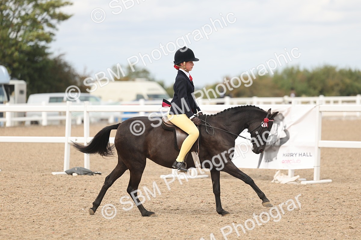 SBM_15988 - Class 311 - Ridden Show pony-Show hunter Pony