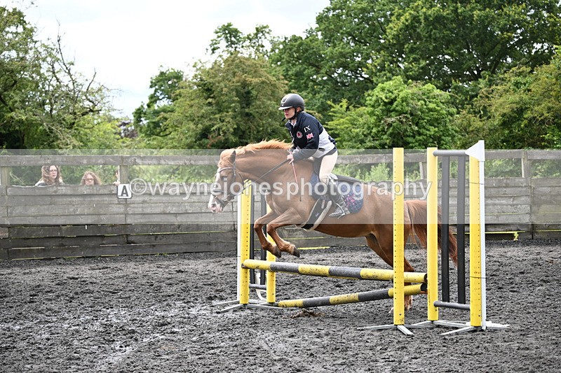 WJ6_0163 - Class 13 Novice 60cm