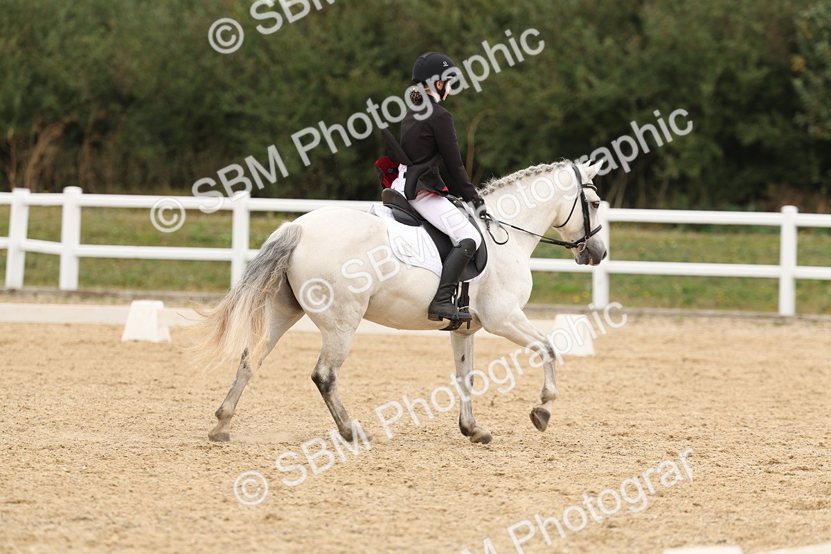 SBM_01077 - Class 8 - Novice 27 Champs