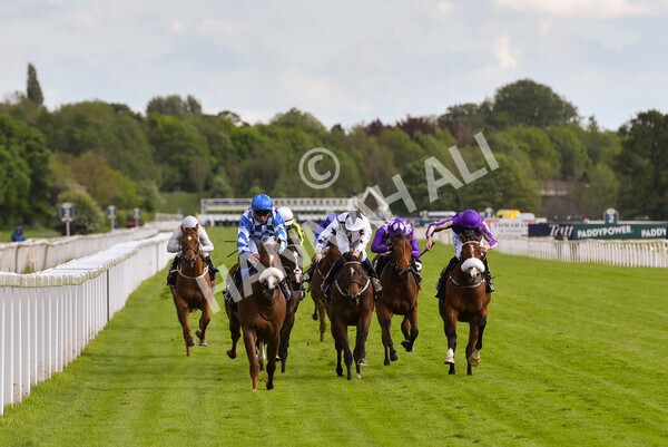 yr11052022r7-18 - Race 7 5.15pm British Stallion Studs EBF Novice Stakes