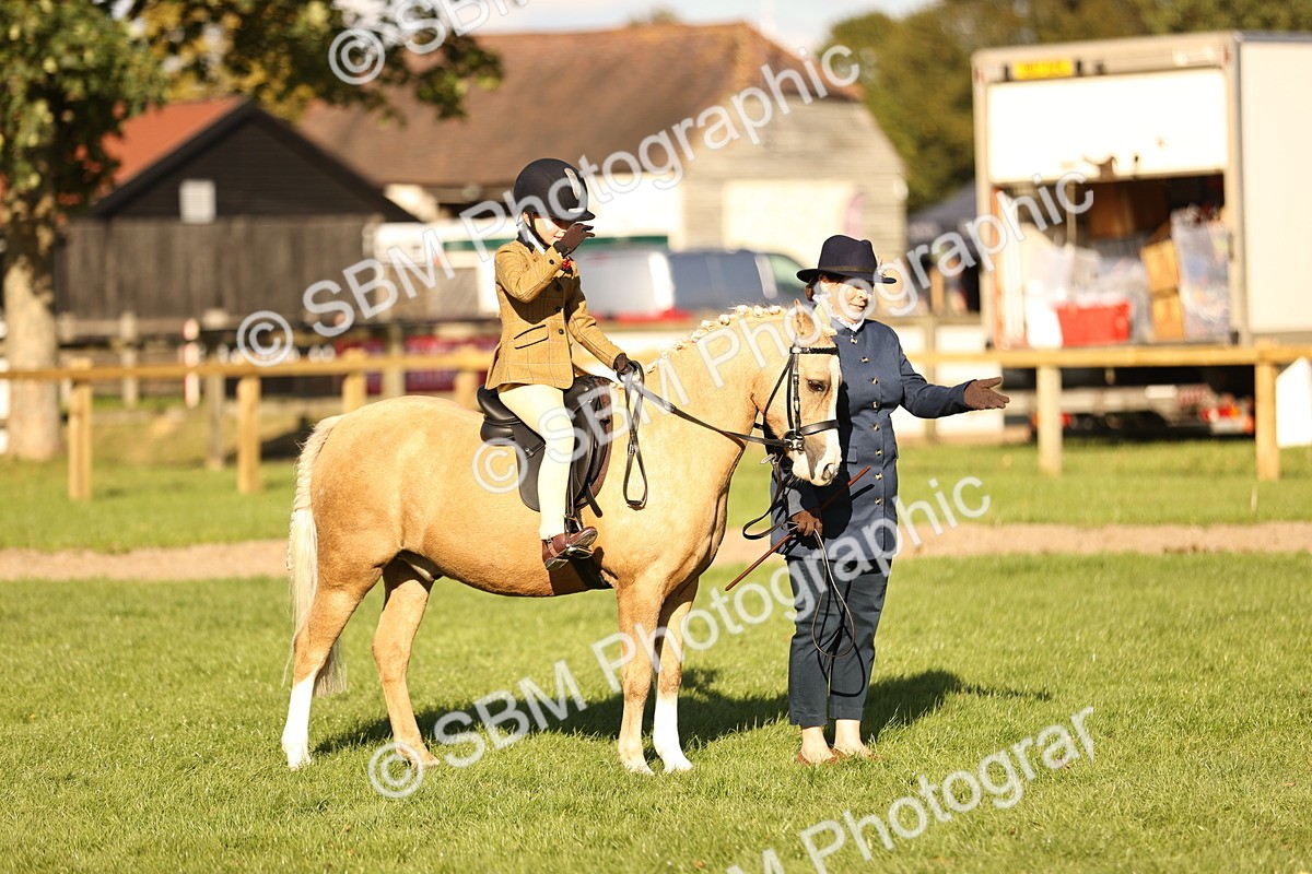 SBM_29388 - S7 - Novice & Newcomers Ridden Pony