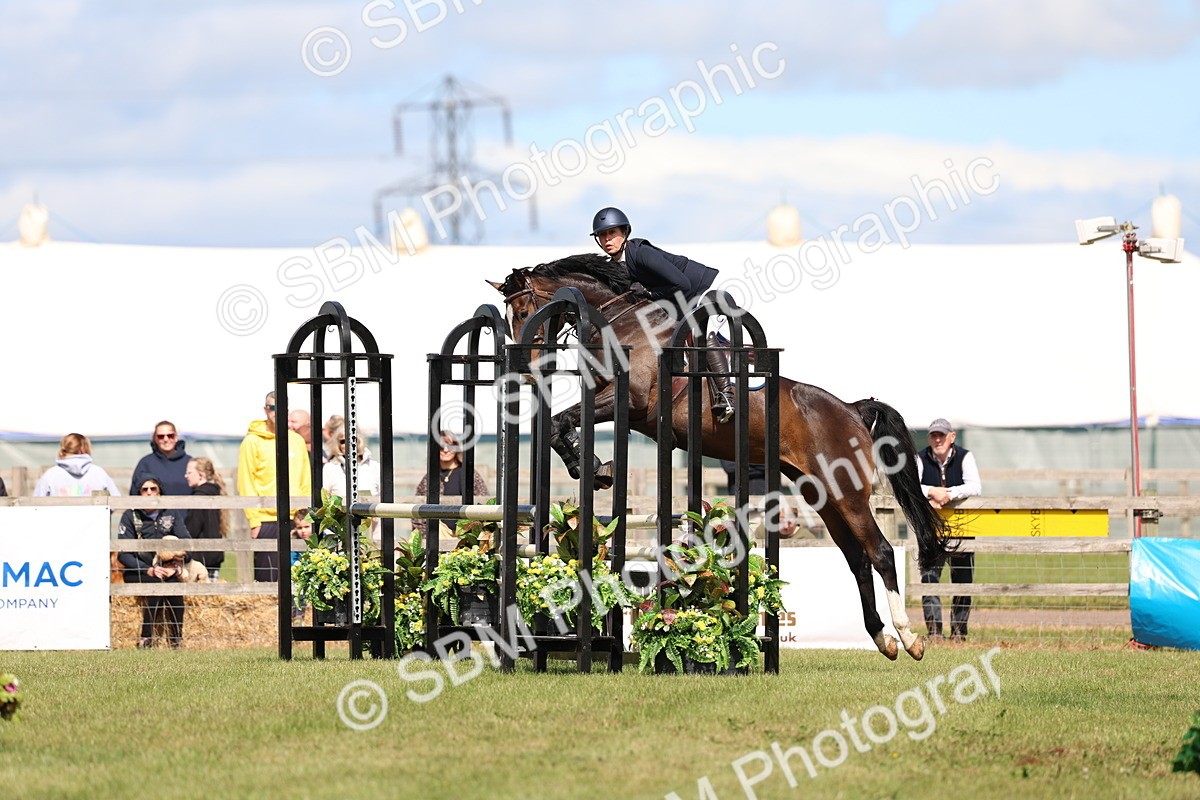 SBM_13518 - Class 206 - Senior Newcomers - 1.10m Open