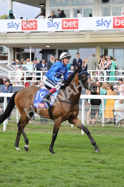 yr20082022r4-214 - Race 4 3.35pm Sky Bet Ebor