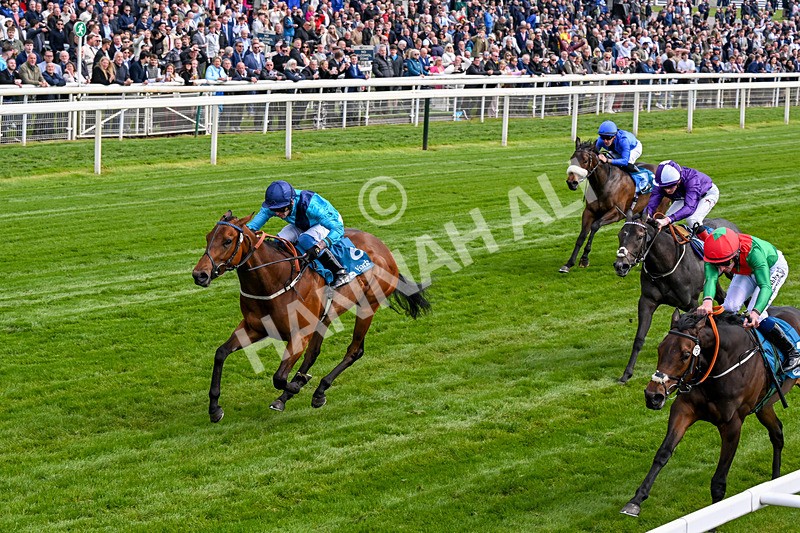 150526-Race 4-Love A Giggle-0227 - Race 4 3.30pm Design Tonic Out Of This World Spaces At The Races EBF Marygate Fillies' Stakes