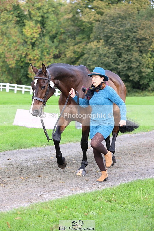 251026A-115614-25775 - G-518-Nicky.Ralph