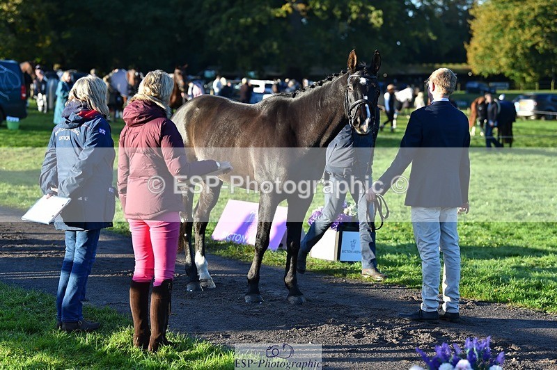 231022-085532-21451 - 615-MBF.JOEY-Tommy.Marsden-TrotUp+SJ