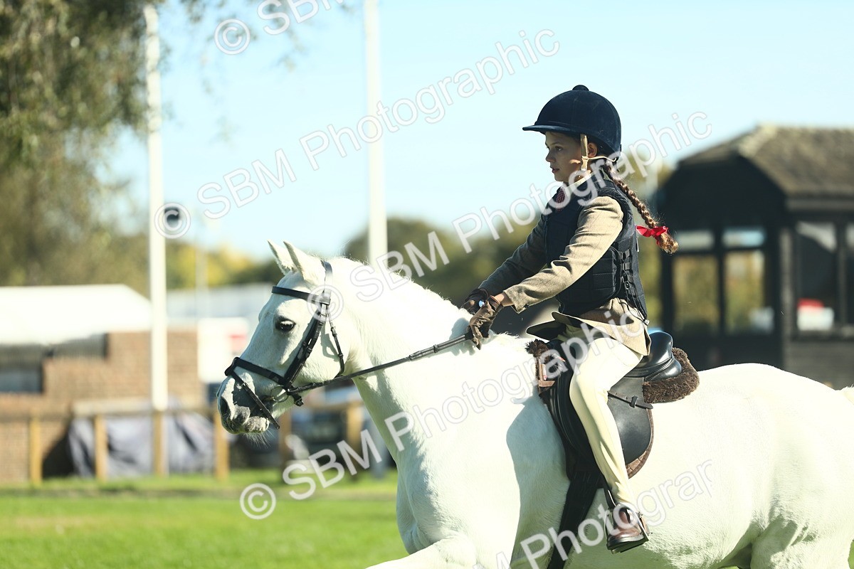 SBM_37516 - S29 - Novice & Newcomers Working Hunter Pony