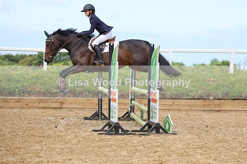 3E7A3108 - Class 4: Senior British Novice/90cm open