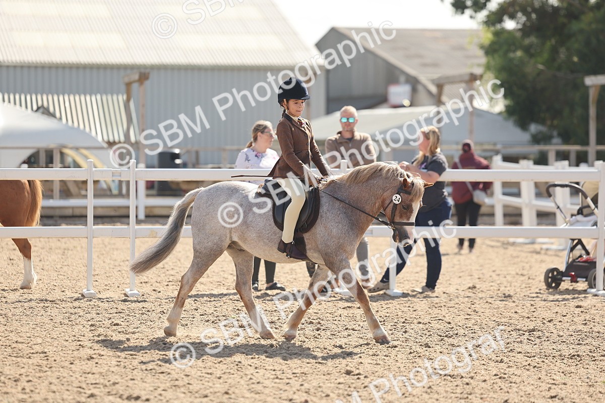 SBM_23118 - Class 806 - Young Rider 10ry and Under