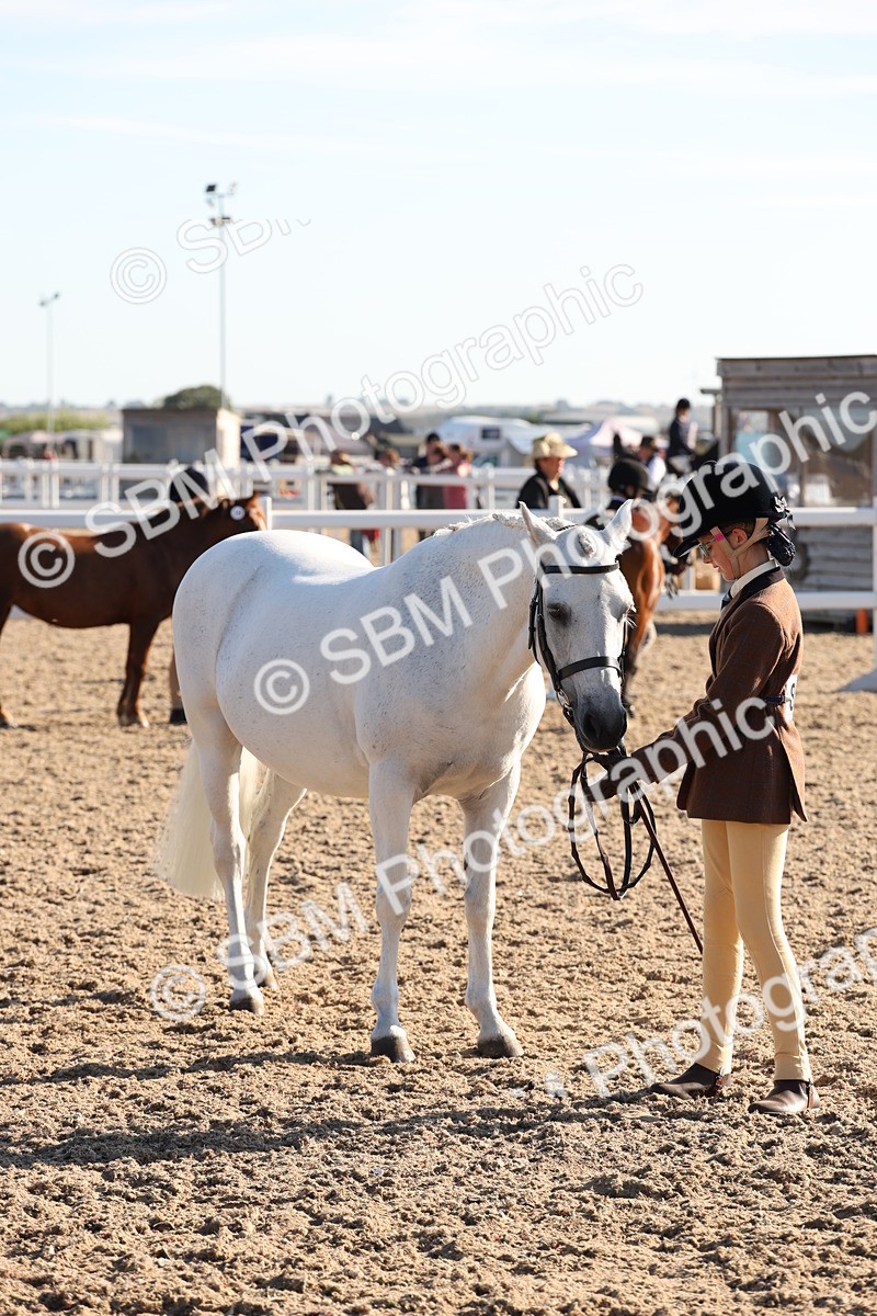SBM_11635_Class 203 - Young Handler 10 Years and Under - Vicky Gutteridge