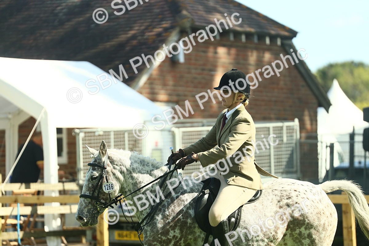 SBM_39257 - S29 - Novice & Newcomers Working Hunter Pony