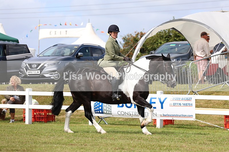 3E7A0177 - Class 6: Rising Star Maxi Cobs