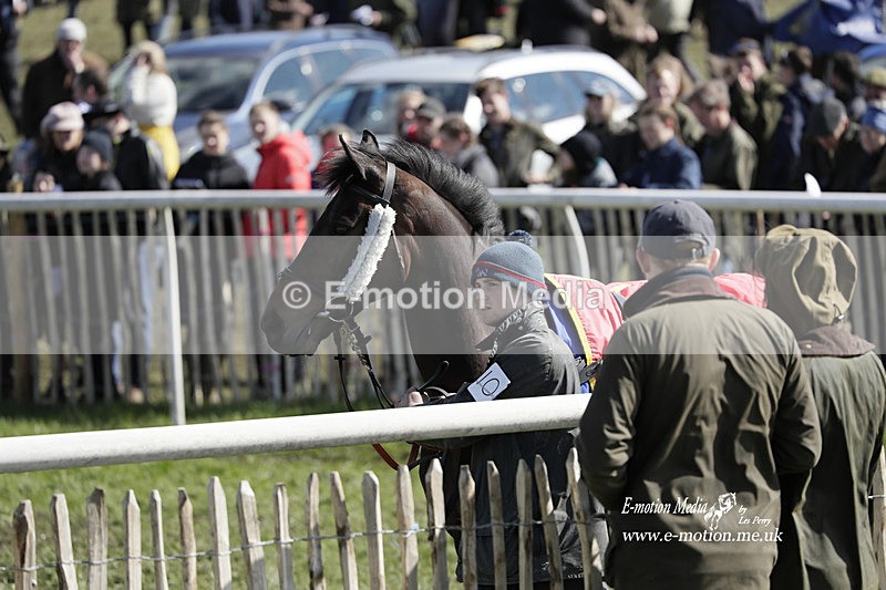 PtP 100423 687 - Old Berkshire Point-to-Point Lockinge 10/04/23