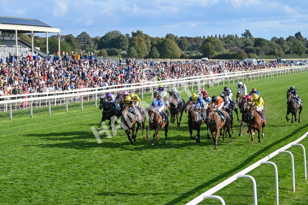 220825-Race 7-Fifth Column-7833 - Race 7 5.20pm Sky Bet Mile Handicap