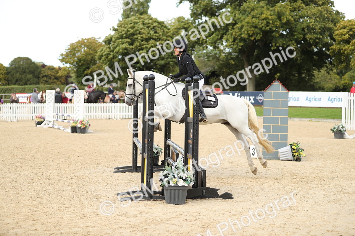 SBM_09975 - J36 - Veteran Rider 70cm