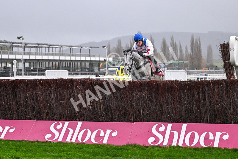 141125-Race 4-LEau du Sud-0416 - Race 4