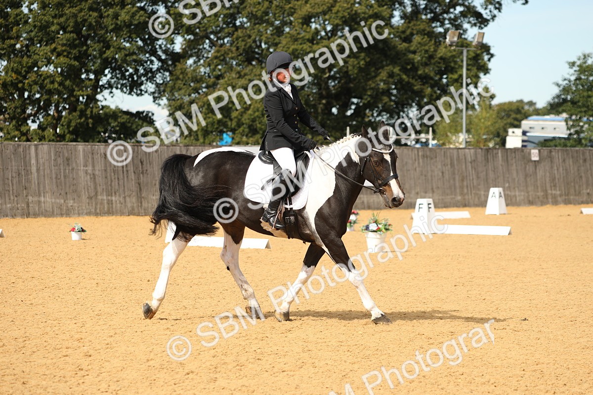 SBM_22206 - D17 - Grand Tour Championship - Novice 27