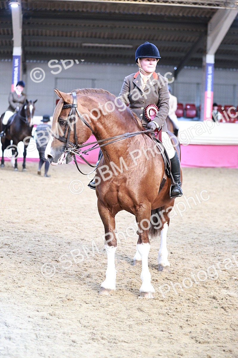 SBM_09121 - Class 12R - Regional Ridden Pre-Vet