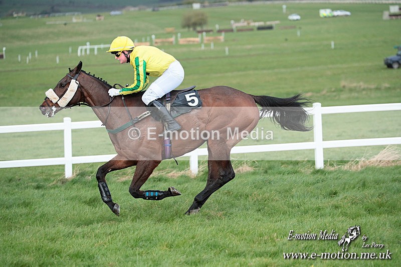 PtP 230324 882 - Tedworth Hunt PtP Larkhill Raccourse 23rd March 2024