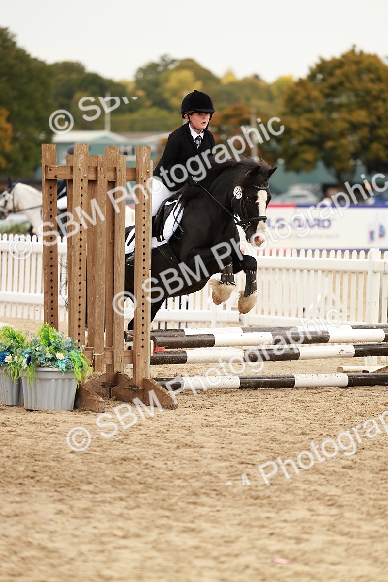 SBM_58024 - J11 - Junior Pony 50cm Championship