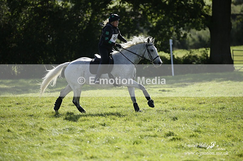  WWHT 031021 1328 - Open Novice (0.80m) 03/10/21