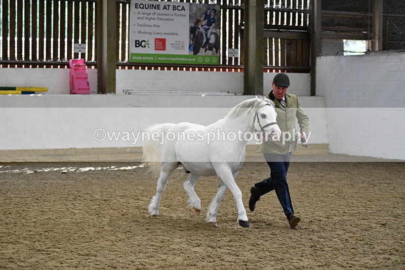 WJ5_5343 - Class 4 In hand M&M - small breeds