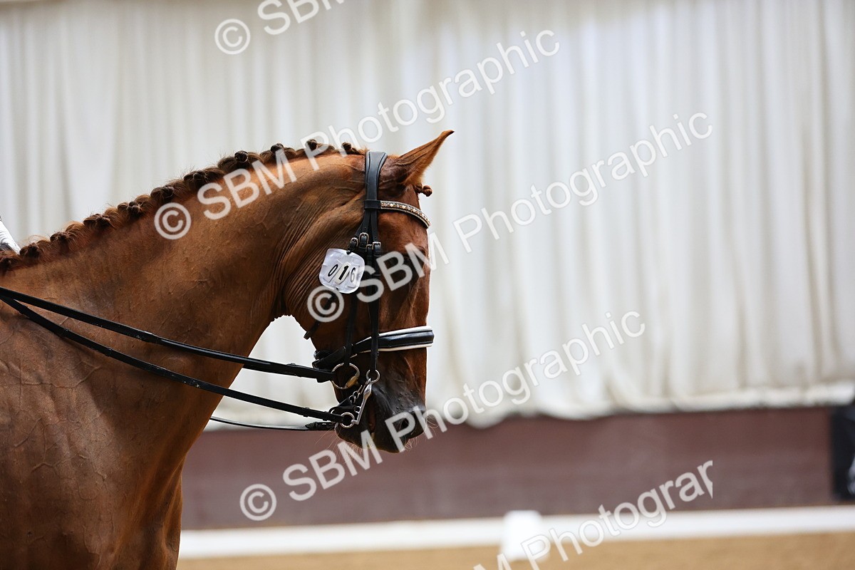 SBM_020620 - Class 8 - Med FSM