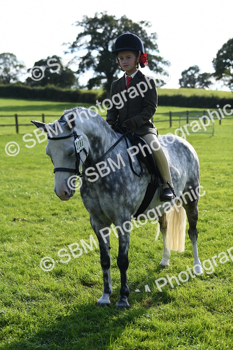 SBM_52397 - S22 - 1st Ridden Show & Show Hunter Pony