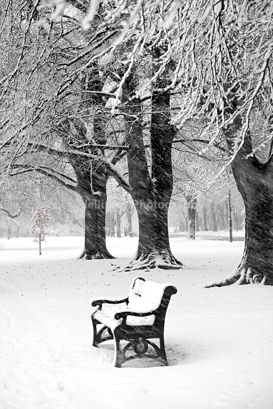  - Landscapes = 'Bedford in the Snow'