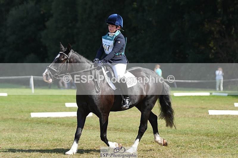 250823A-111216-28021 - Arena B