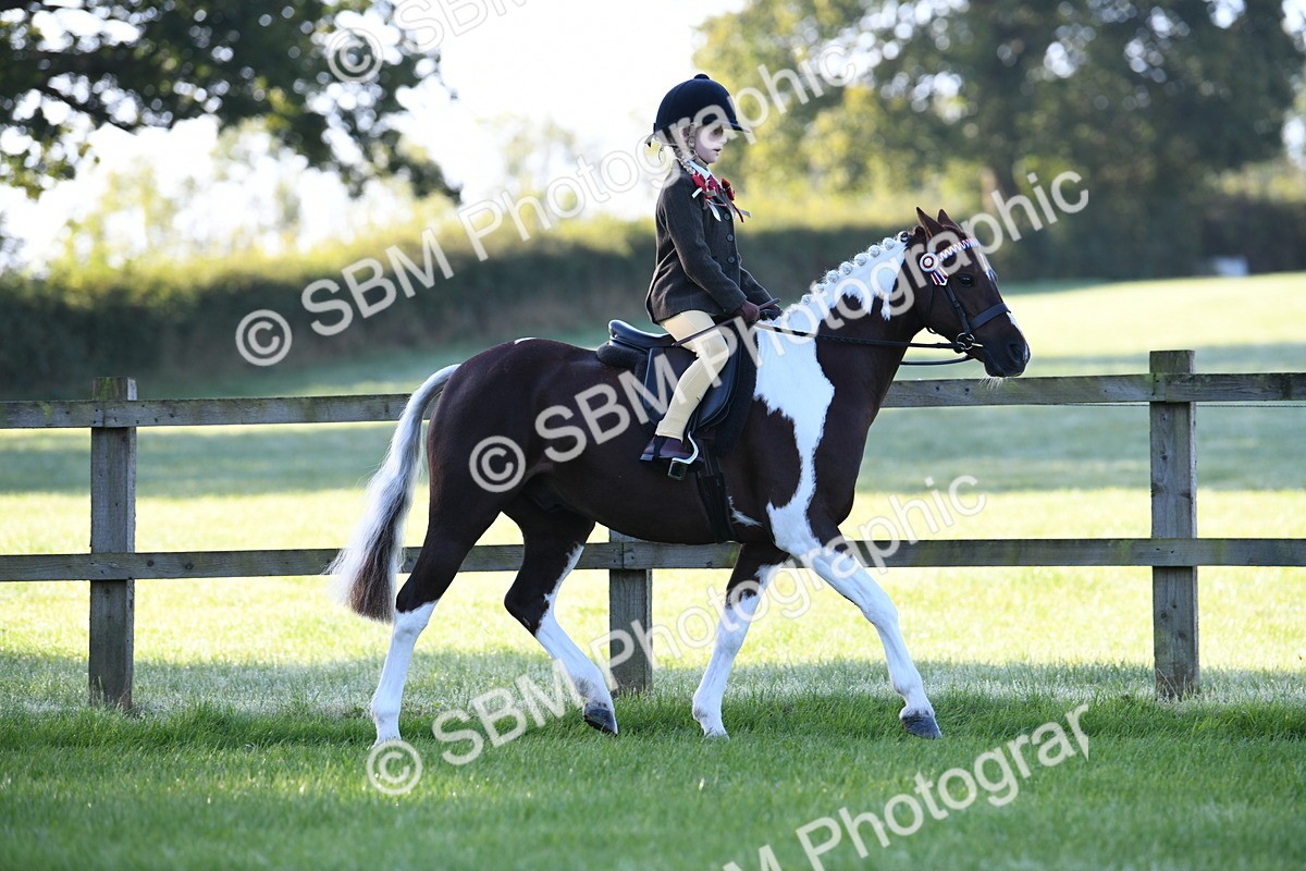 SBM_33945 - S16 - Condition & Turnout - Ridden