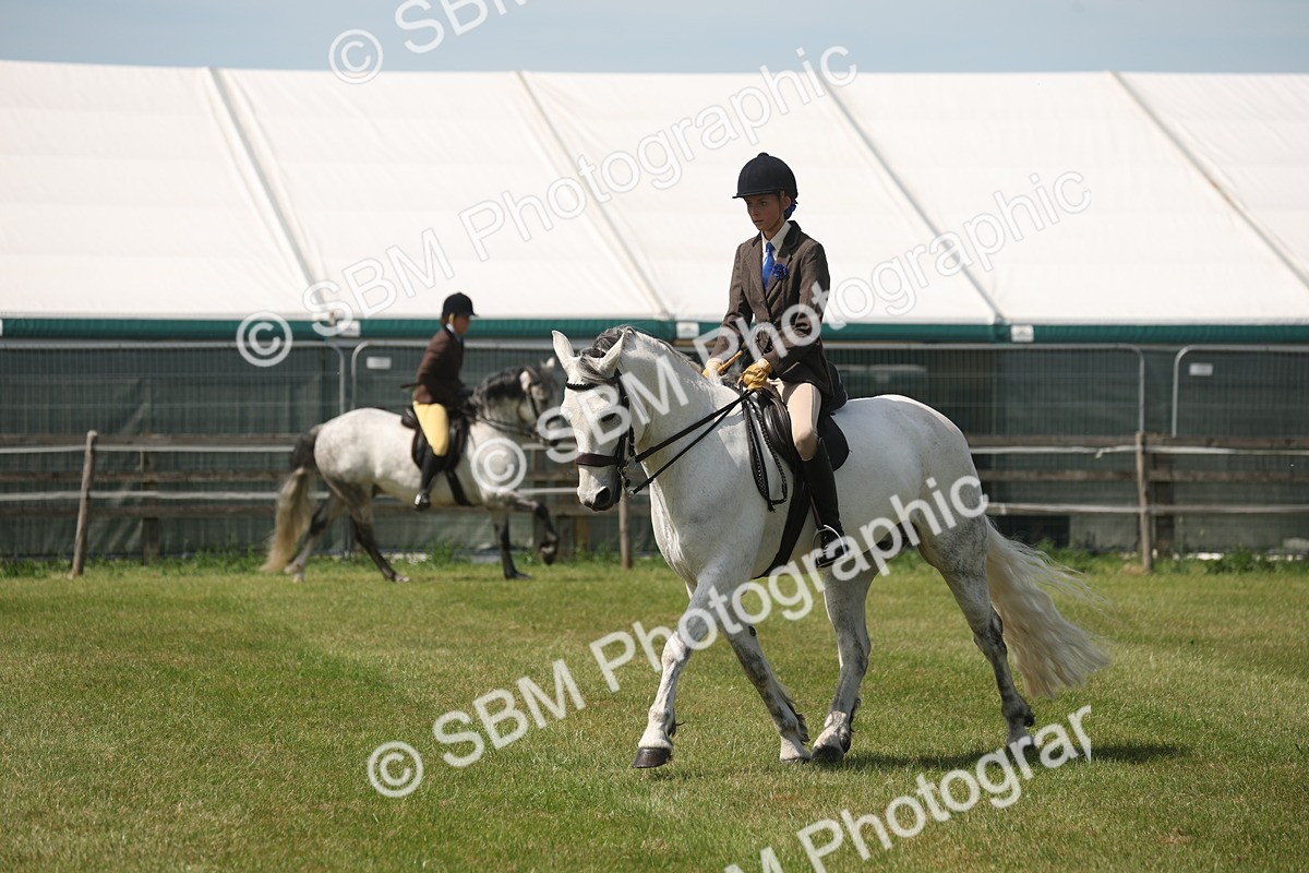 SBM_07604 - Class 26-30 - Mountain and Moorland Ridden
