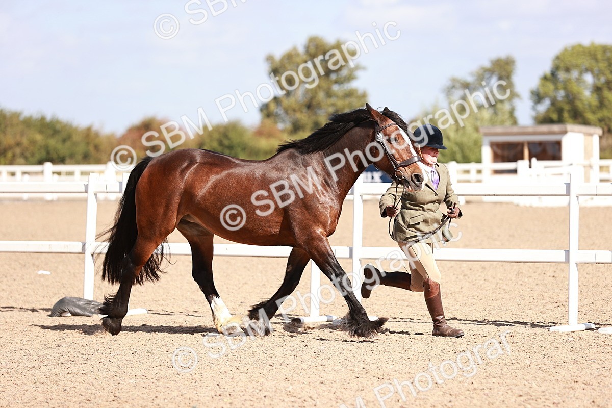 SBM_22890 - Class 706 - IH Veteran