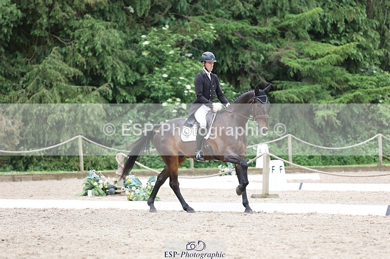 240523-154139-05771 - 316-LB_METTAPHOR-Tom_Rowland